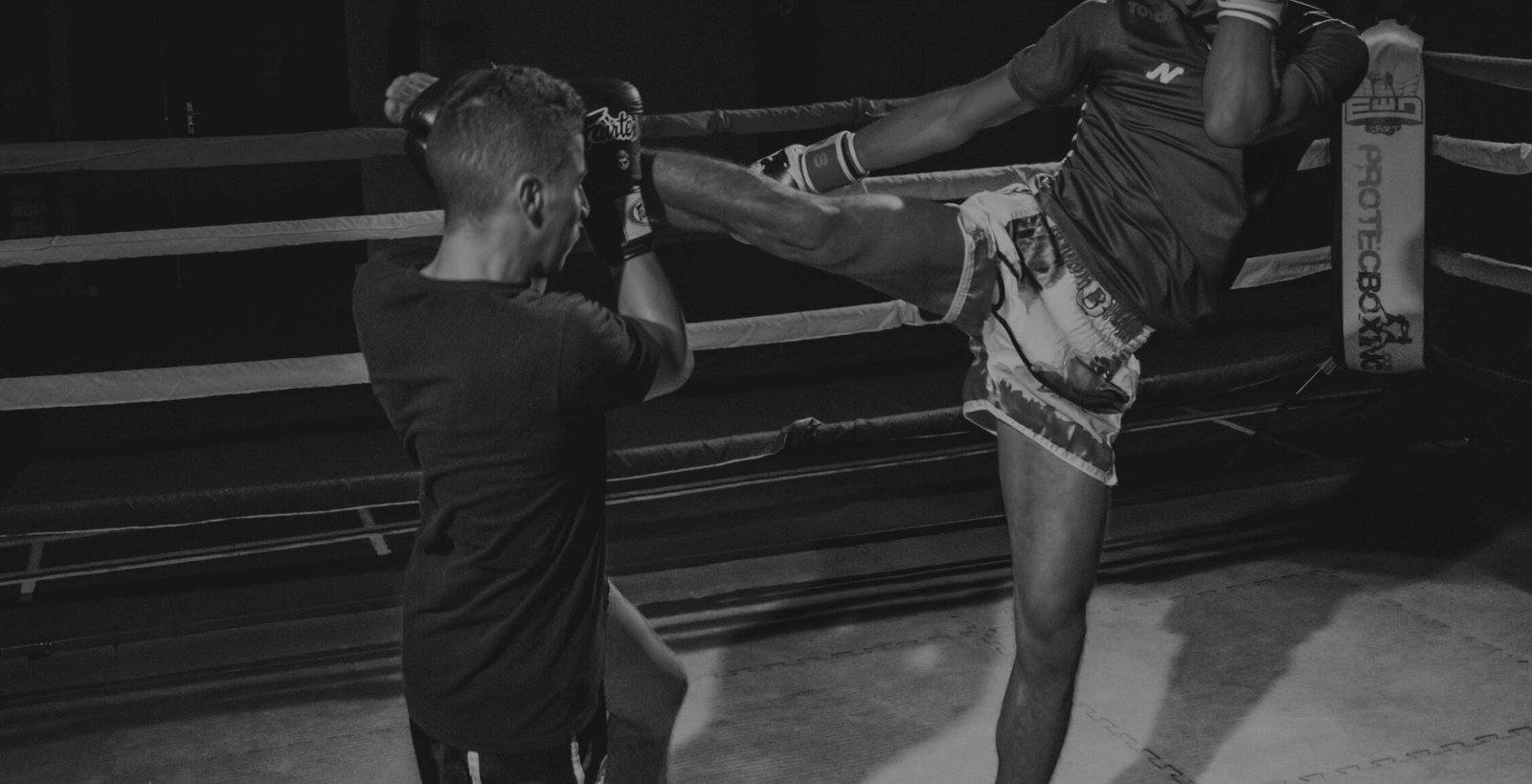 nemesia-production-ikWIo0Lr7zI-unsplash-smalldark